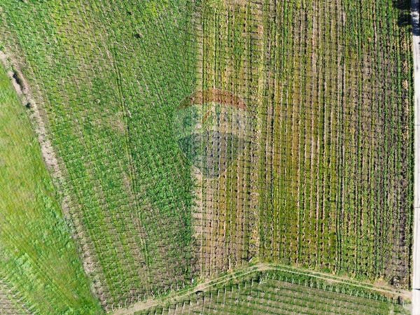 terreno agricolo in vendita a Torino di Sangro