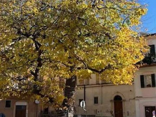 casa indipendente in vendita a Torino di Sangro