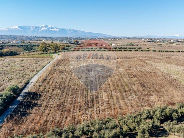 terreno agricolo in vendita a Torino di Sangro in zona San Tommaso