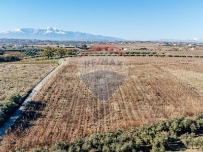 terreno agricolo in vendita a Torino di Sangro in zona San Tommaso
