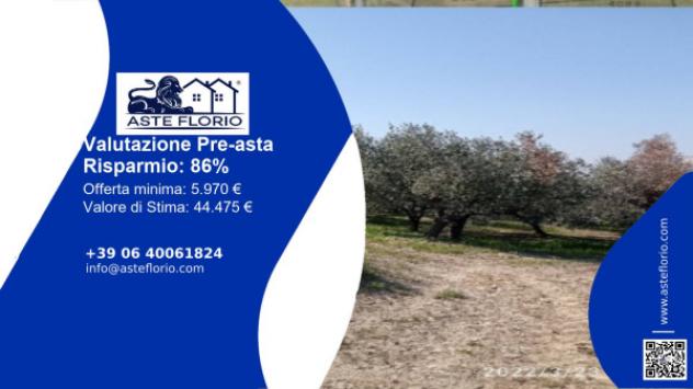 terreno agricolo in vendita a Torino di Sangro