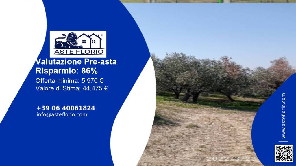 terreno agricolo in vendita a Torino di Sangro