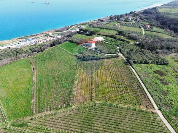 terreno agricolo in vendita a Torino di Sangro