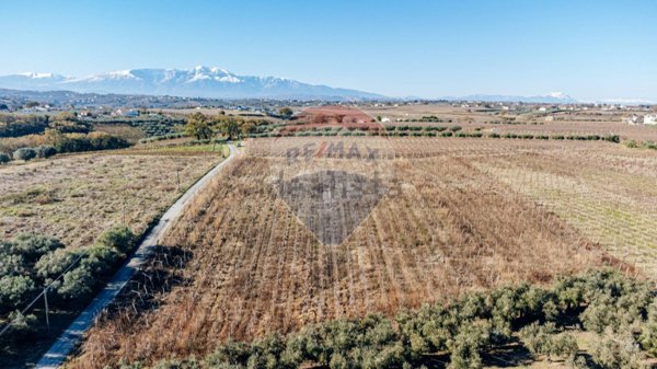 terreno agricolo in vendita a Torino di Sangro in zona San Tommaso