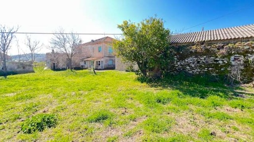 esavano in vendita a Torino di Sangro