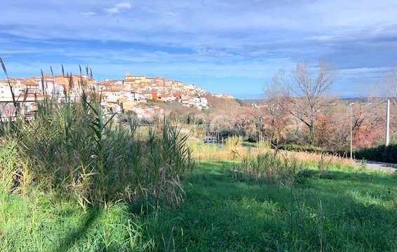 terreno agricolo in vendita a Torino di Sangro