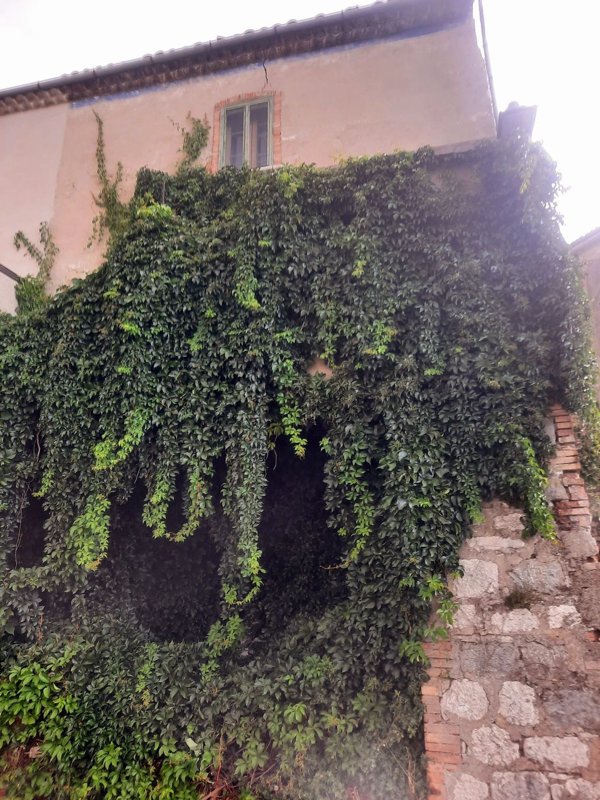 appartamento in vendita a Torrebruna