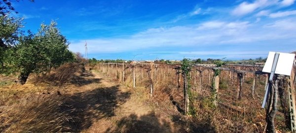 terreno agricolo in vendita a Torrevecchia Teatina in zona Torremontanara