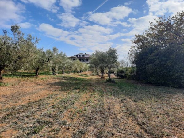 terreno agricolo in vendita a Torrevecchia Teatina