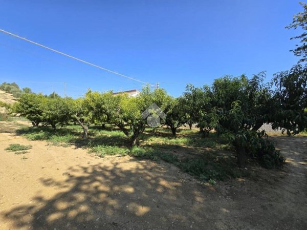 terreno edificabile in vendita a Torrevecchia Teatina