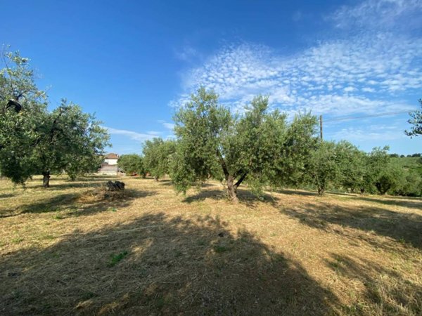negozio in vendita a Torrevecchia Teatina in zona Torremontanara