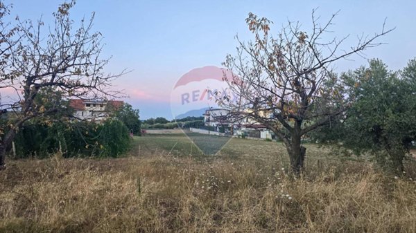 terreno agricolo in vendita a Torrevecchia Teatina