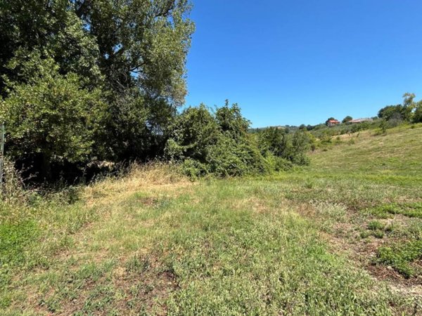 terreno agricolo in vendita a Torrevecchia Teatina in zona Castelferrato