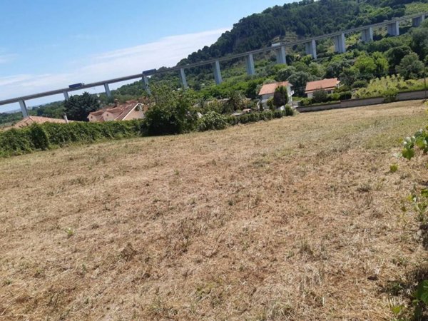 terreno agricolo in vendita a Torrevecchia Teatina