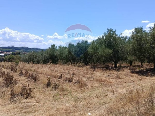 terreno agricolo in vendita a Torrevecchia Teatina