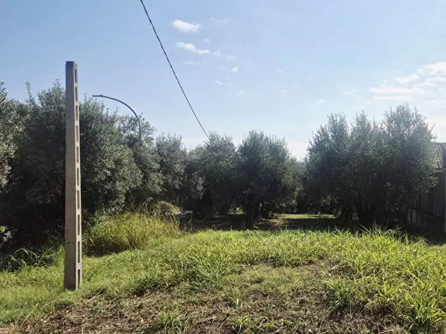 terreno edificabile in vendita a Torrevecchia Teatina