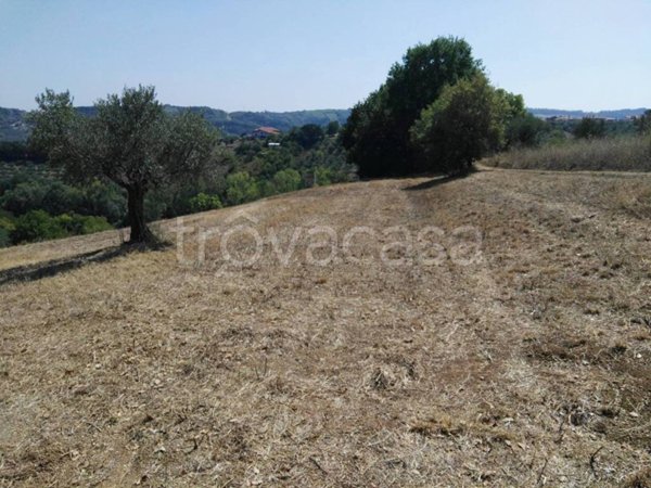 ufficio in vendita a Torrevecchia Teatina