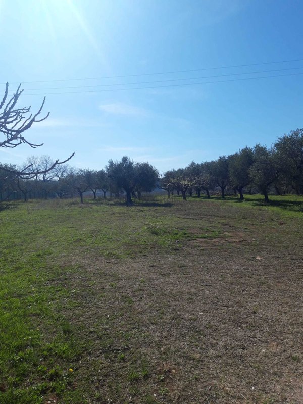 terreno in vendita a Torrevecchia Teatina
