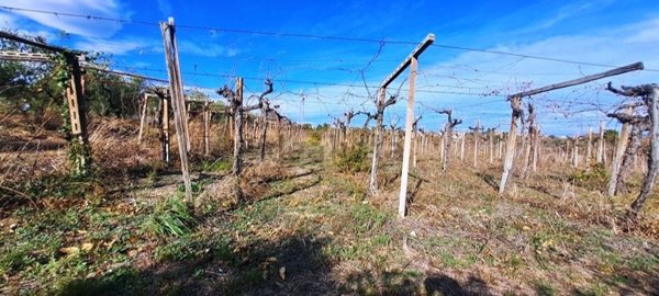terreno edificabile in vendita a Torrevecchia Teatina