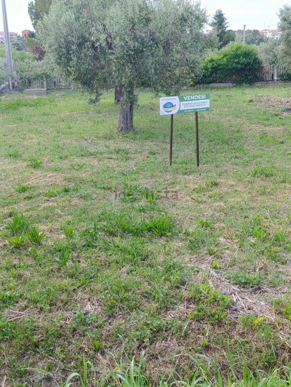 terreno edificabile in vendita a Torrevecchia Teatina