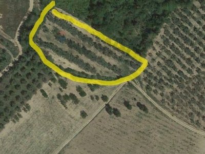 terreno agricolo in vendita a Torrevecchia Teatina