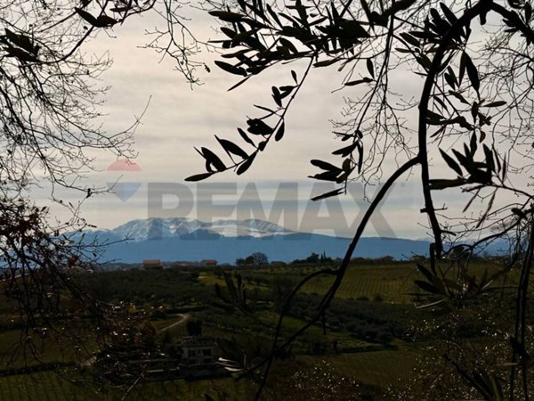 terreno agricolo in vendita a Torrevecchia Teatina in zona Torremontanara