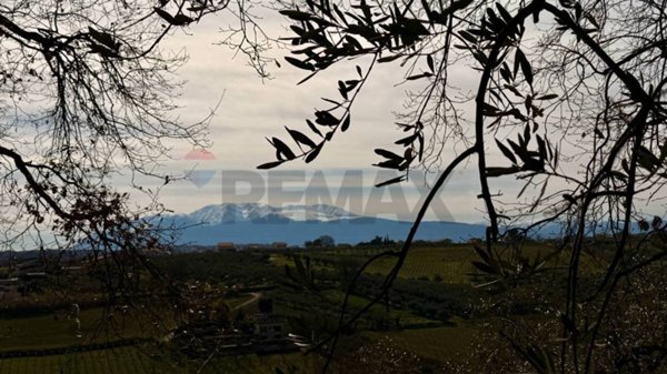 terreno agricolo in vendita a Torrevecchia Teatina in zona Torremontanara