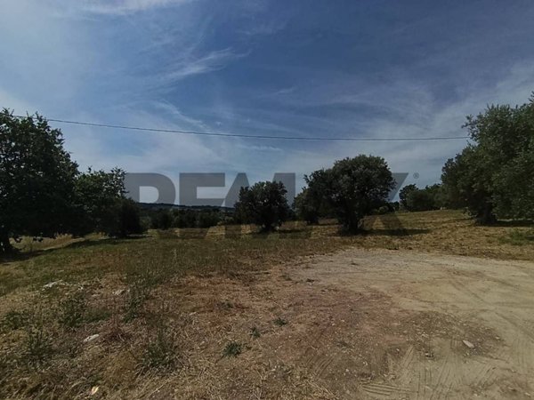 terreno agricolo in vendita a Torrevecchia Teatina in zona Torremontanara