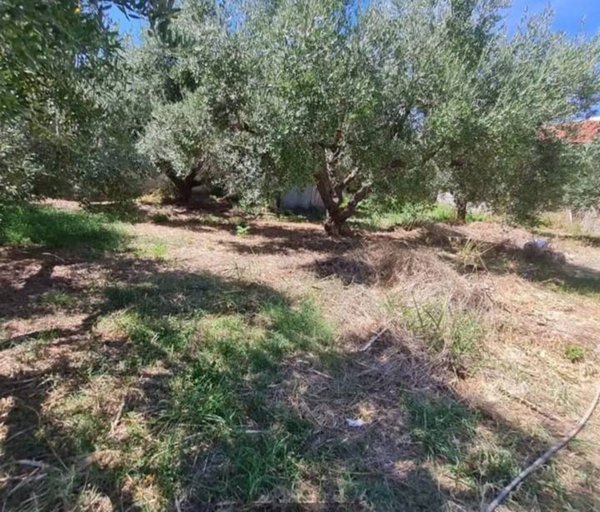 casa indipendente in vendita a Torrevecchia Teatina in zona Torremontanara