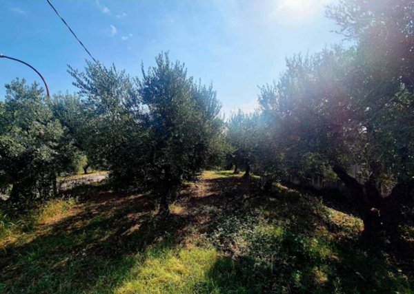 terreno edificabile in vendita a Torrevecchia Teatina