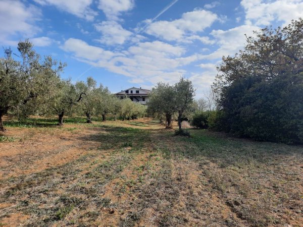 terreno in vendita a Torrevecchia Teatina in zona Castelferrato