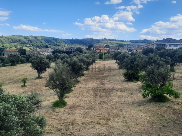 terreno in vendita a Torrevecchia Teatina in zona Torremontanara