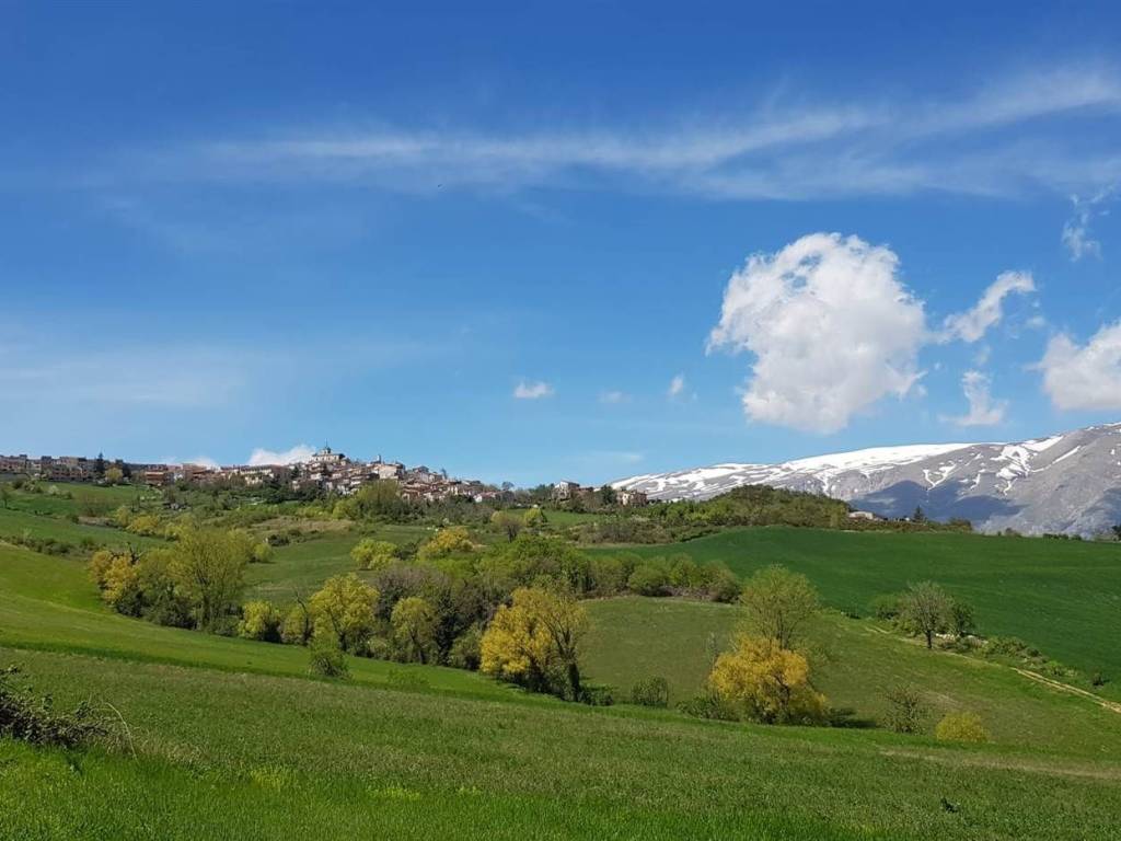 casa indipendente in vendita a Torricella Peligna