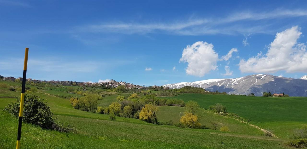 immagine annuncio 0 di 15