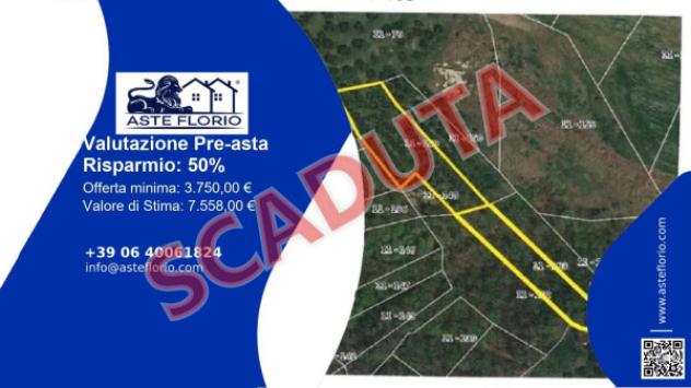 terreno agricolo in vendita a Torricella Peligna