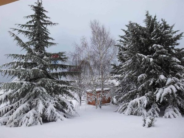 casa indipendente in vendita a Torricella Peligna