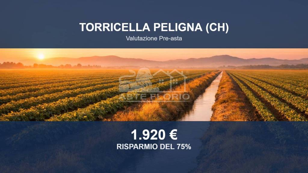 terreno in vendita a Torricella Peligna