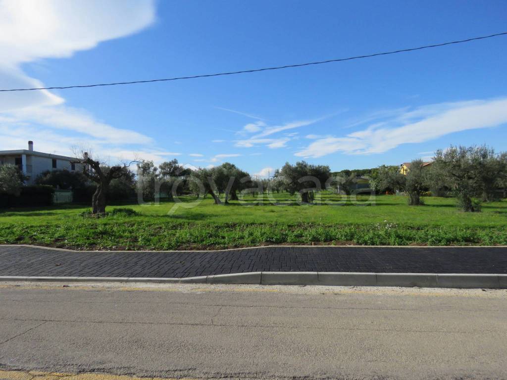 terreno agricolo in vendita a Treglio in zona San Giorgio