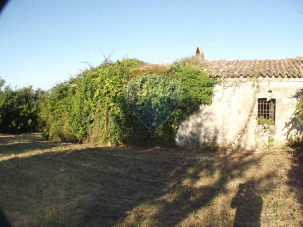 casa indipendente in vendita a Treglio