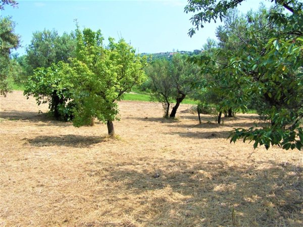 terreno edificabile in vendita a Treglio