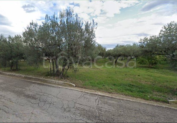 terreno agricolo in vendita a Treglio