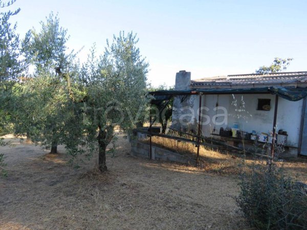 casale in vendita a Treglio