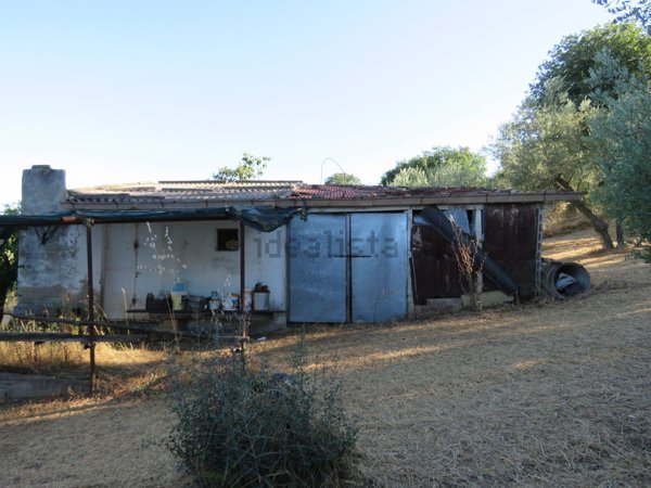 appartamento in vendita a Treglio