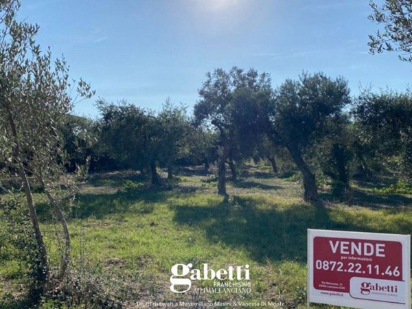 terreno agricolo in vendita a Treglio