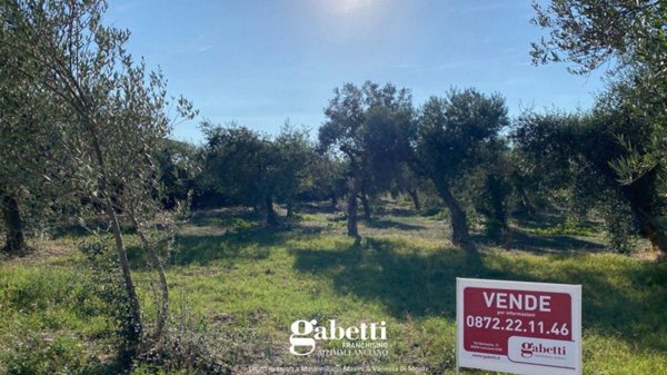 terreno agricolo in vendita a Treglio