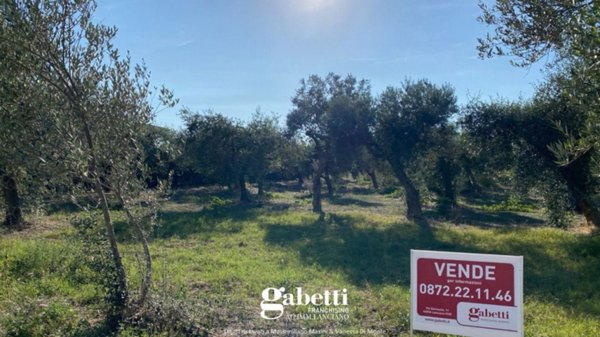 terreno agricolo in vendita a Treglio