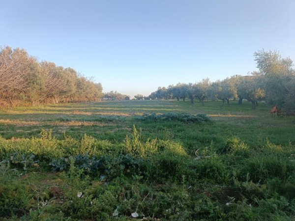 negozio in vendita a Treglio