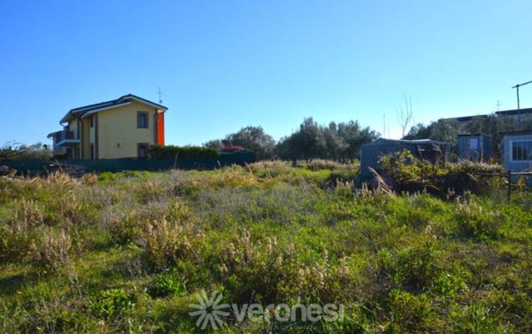 terreno agricolo in vendita a Treglio