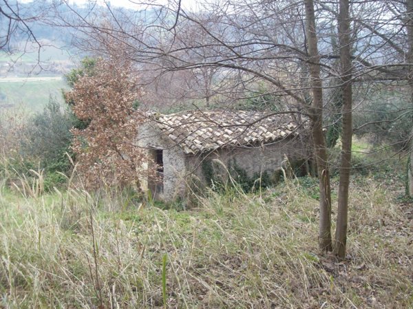 casa indipendente in vendita a Treglio
