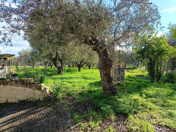 casa indipendente in vendita a Treglio in zona San Giorgio